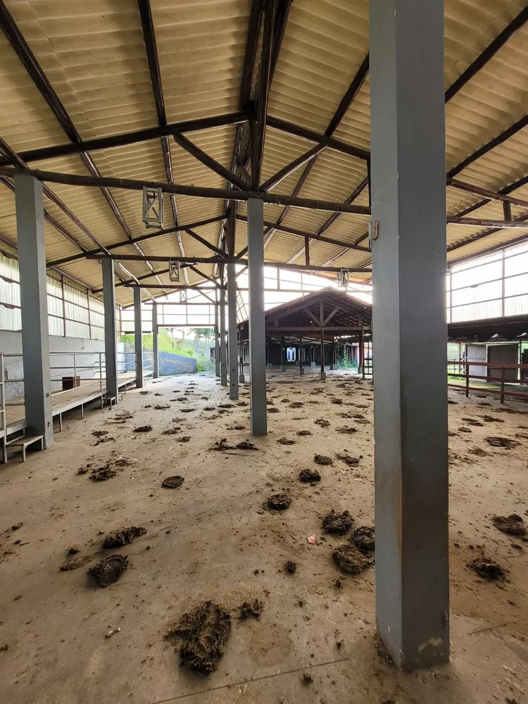 Sítio, 1 quarto, 2 hectares - Foto 15