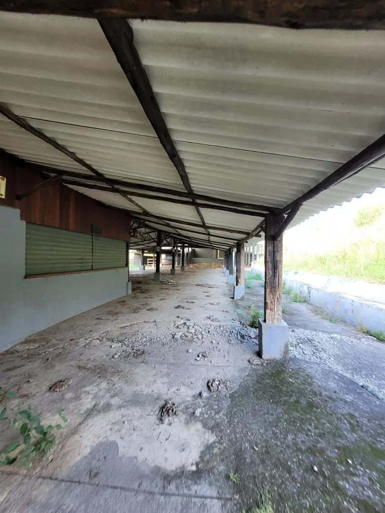 Sítio, 1 quarto, 2 hectares - Foto 8