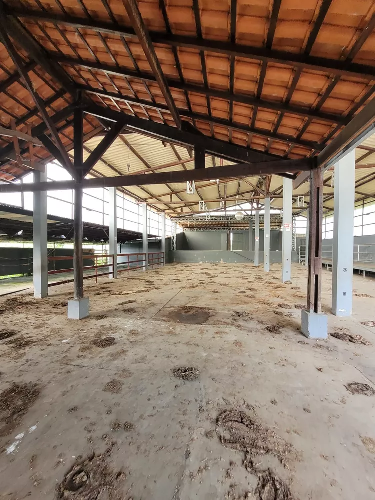 Sítio, 1 quarto, 2 hectares - Foto 10