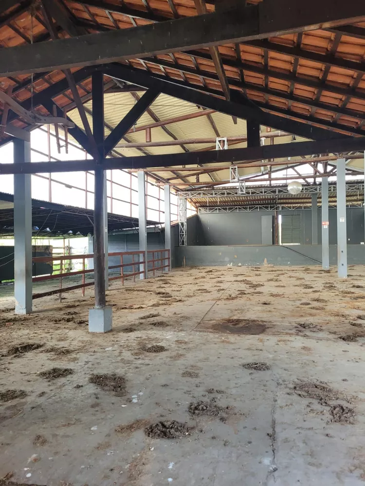 Sítio, 1 quarto, 2 hectares - Foto 9