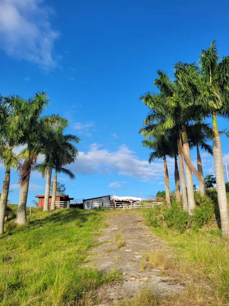 Sítio, 1 quarto, 2 hectares - Foto 29