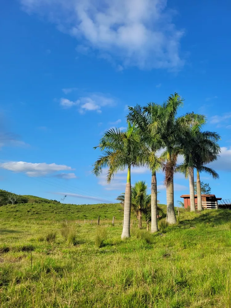 Sítio, 1 quarto, 2 hectares - Foto 30