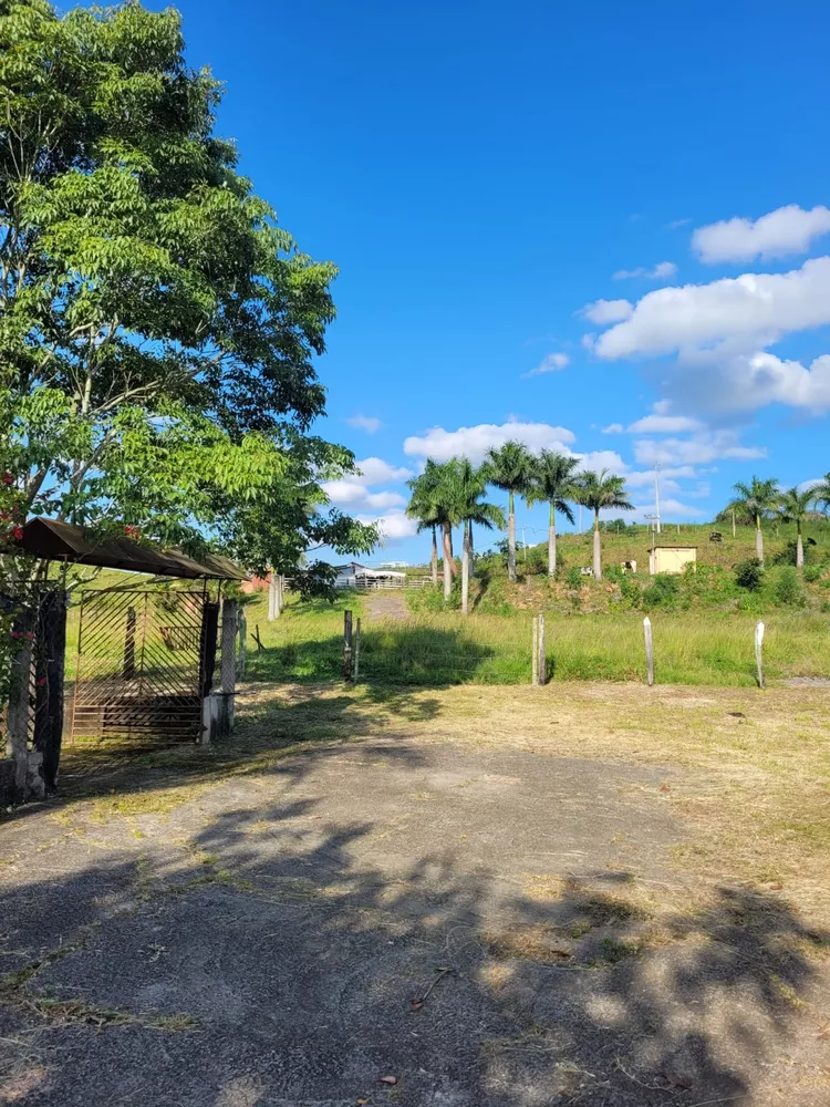 Sítio, 1 quarto, 2 hectares - Foto 3