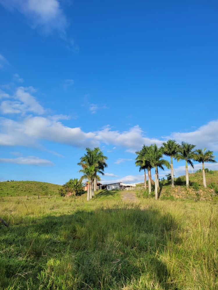 Sítio, 1 quarto, 2 hectares - Foto 26