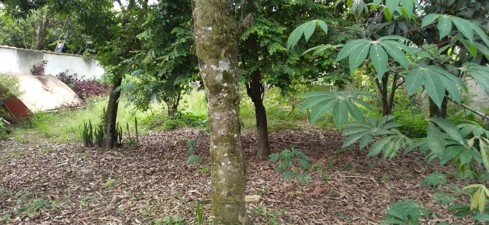 Terreno, 525 m² - Foto 6