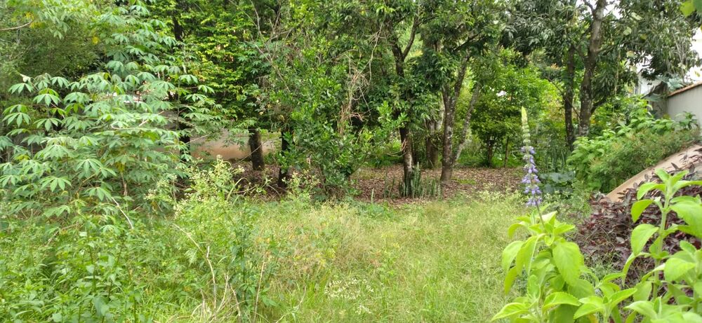 Terreno, 525 m² - Foto 10