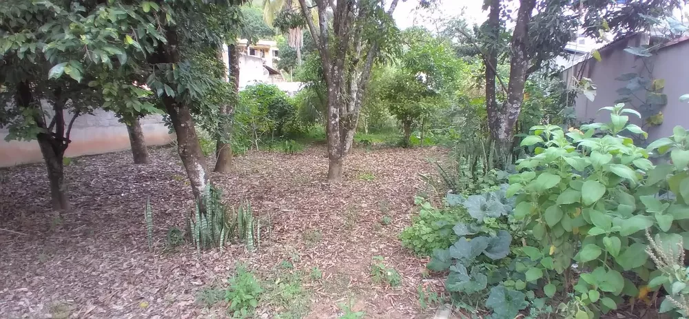 Terreno, 525 m² - Foto 8