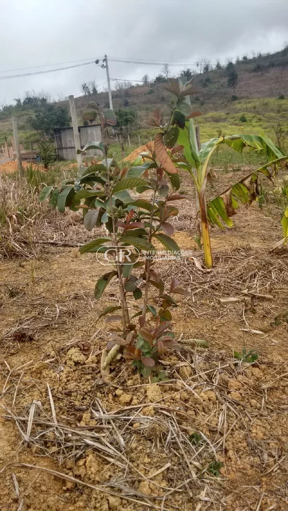 Terreno, 1500 m² - Foto 8