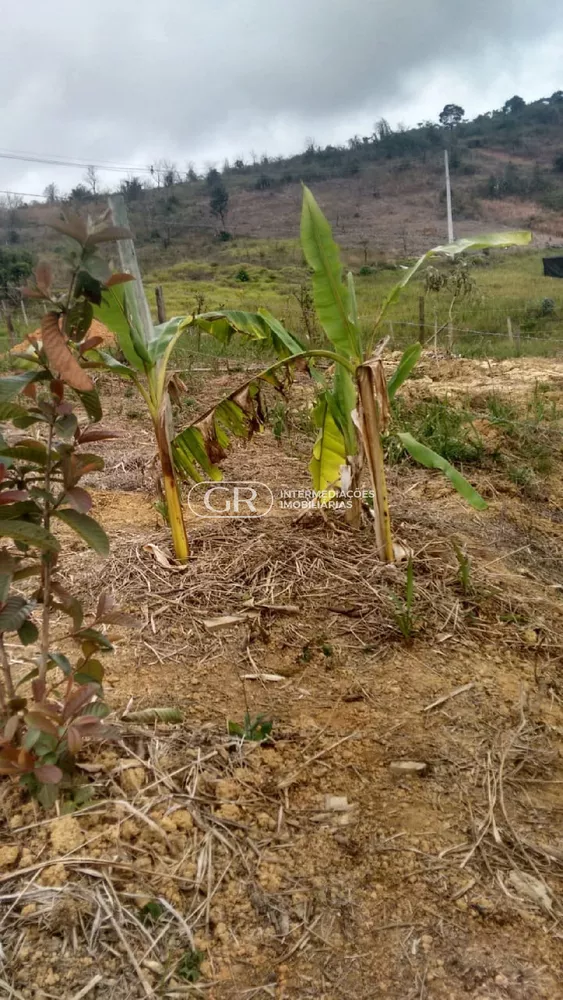 Terreno, 1500 m² - Foto 5