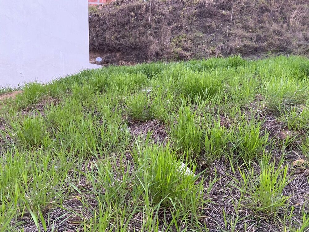 Terreno, 416 m² - Foto 3