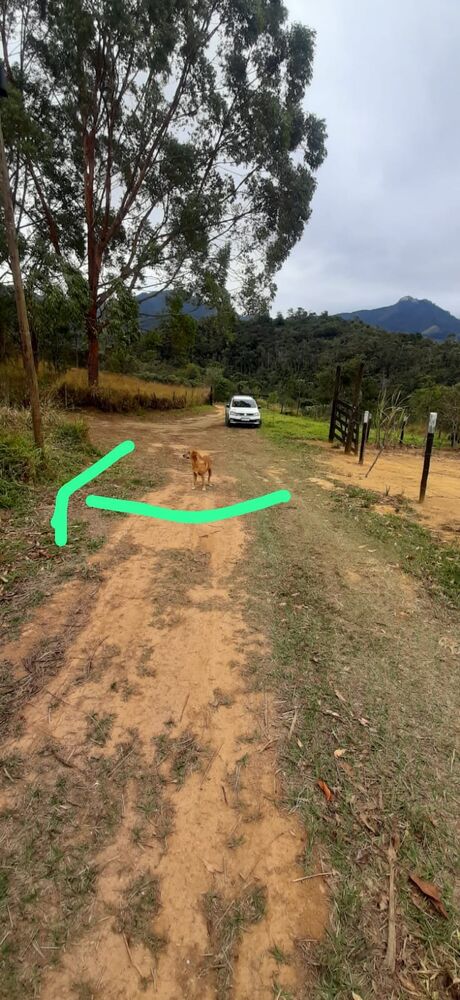 Terreno, 1670 m² - Foto 4