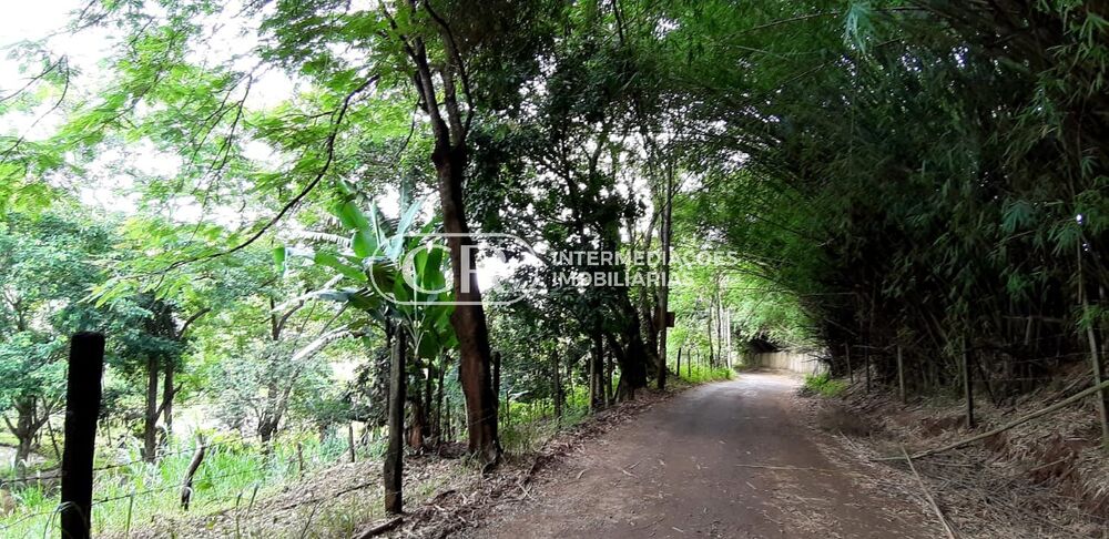 Terreno, 1000 m² - Foto 2