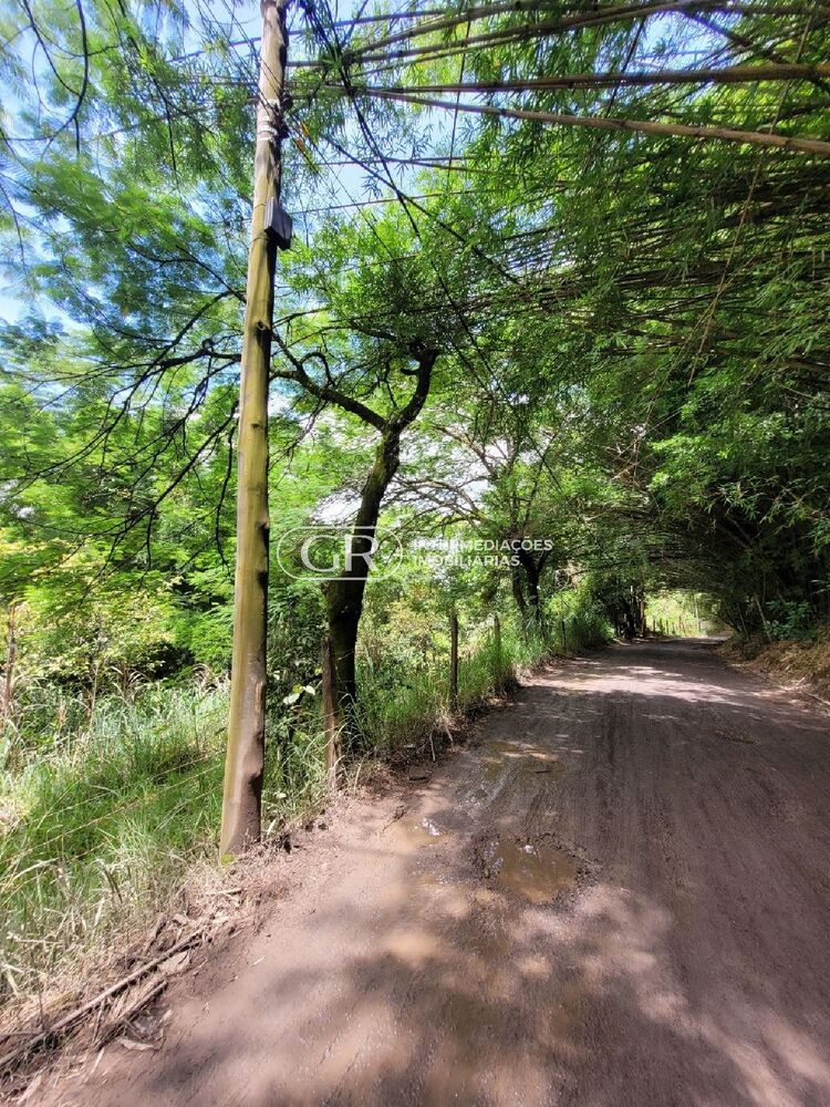 Terreno, 1000 m² - Foto 5