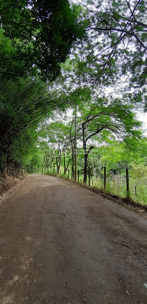 Terreno, 1000 m² - Foto 1