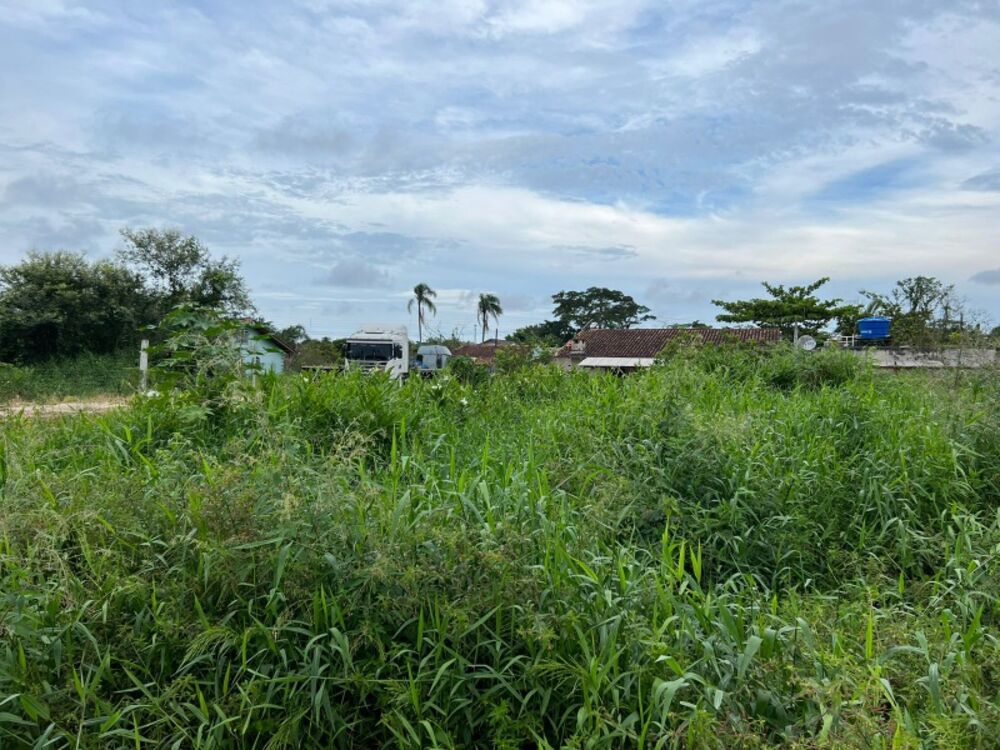 Terreno, 300 m² - Foto 2