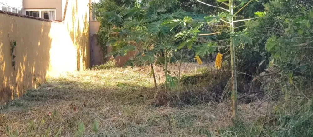 Terreno, 300 m² - Foto 4