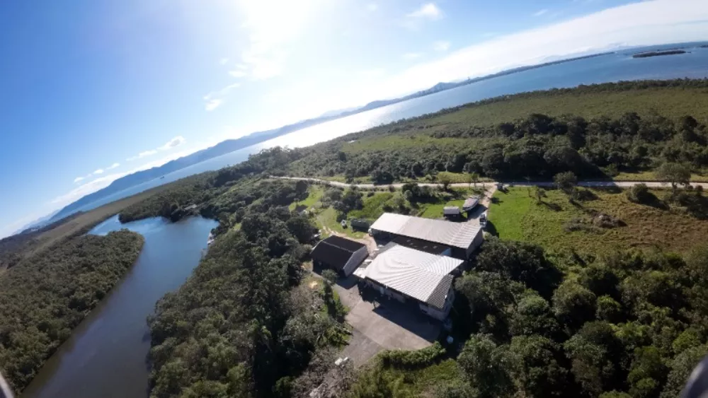 Terreno, 22 hectares - Foto 4