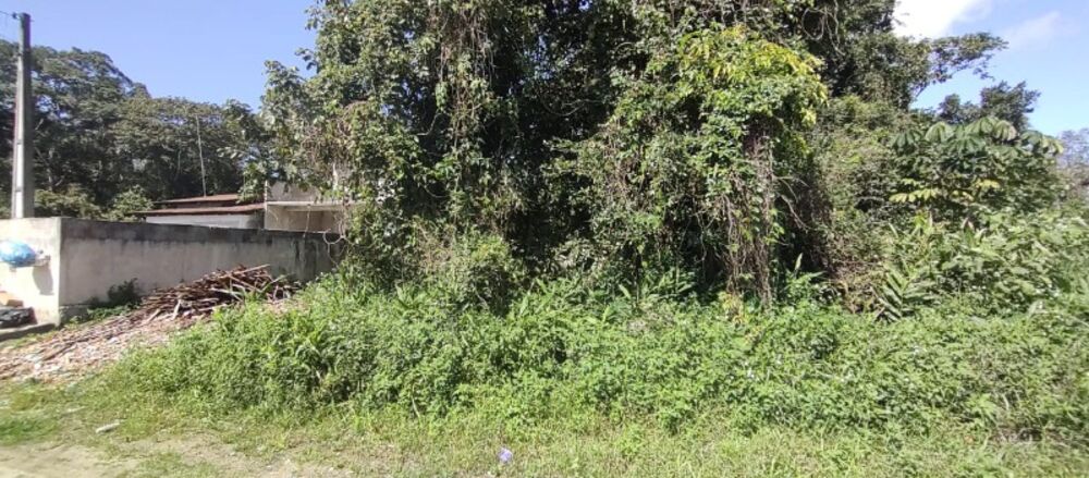 Terreno, 360 m² - Foto 4