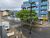 Apartamento, 3 quartos, 80 m² - Foto 2