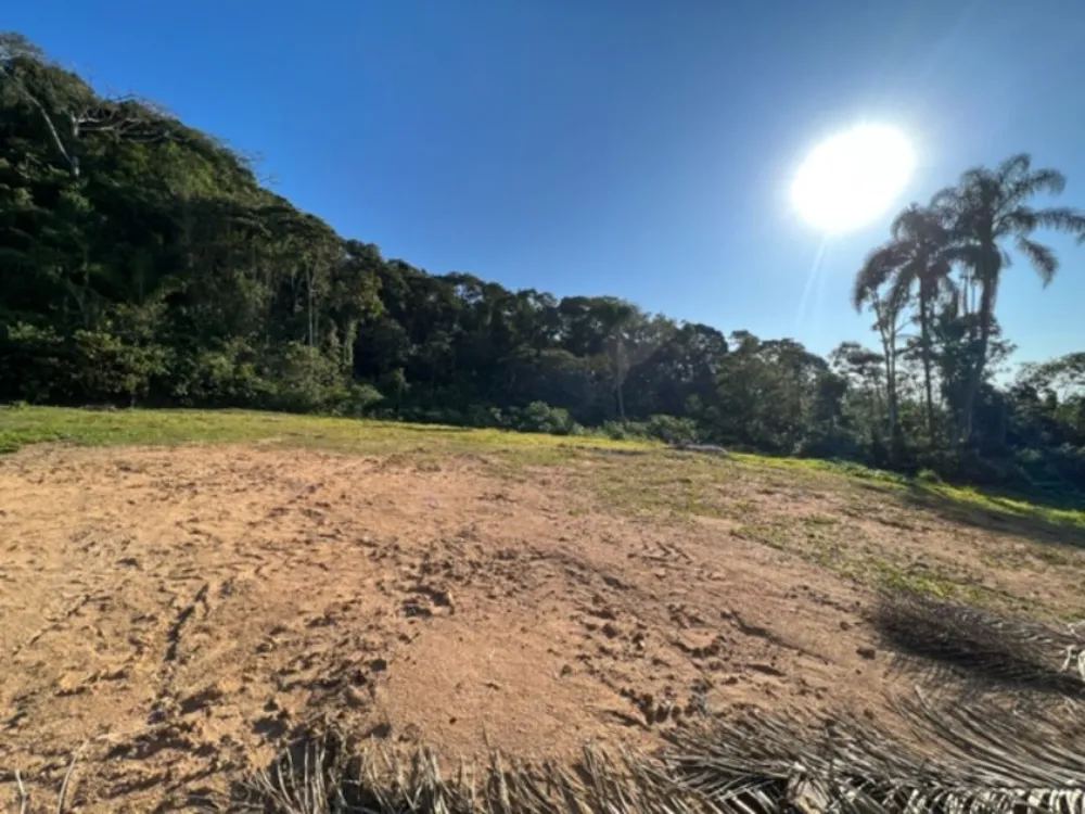 Terreno - Foto 4