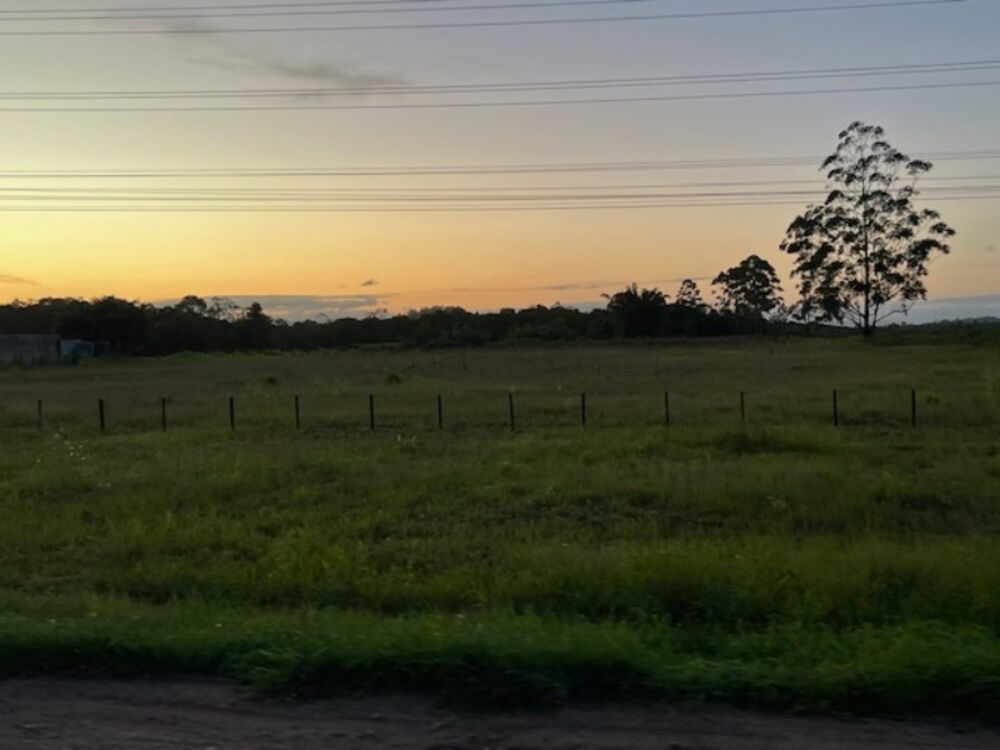 Terreno, 2 hectares - Foto 3