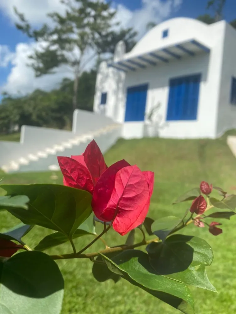 Casa, 4 quartos - Foto 4