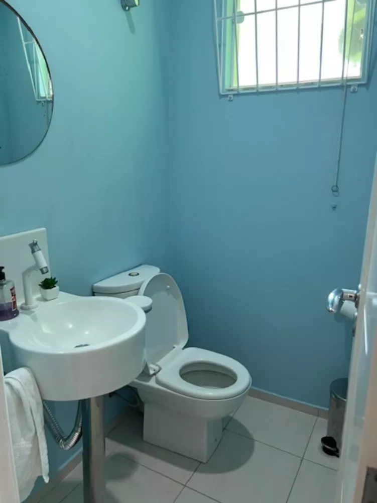 Casa, 3 quartos, 250 m² - Foto 6