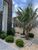 Casa, 4 quartos, 250 m² - Foto 13