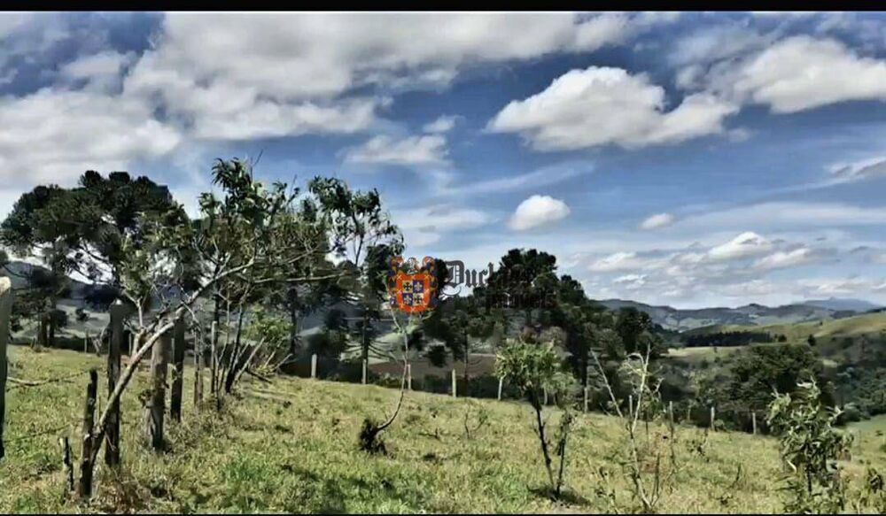 Terreno, 8472 m² - Foto 2