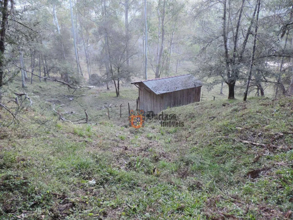 Sítio, 2 quartos, 100 hectares - Foto 1