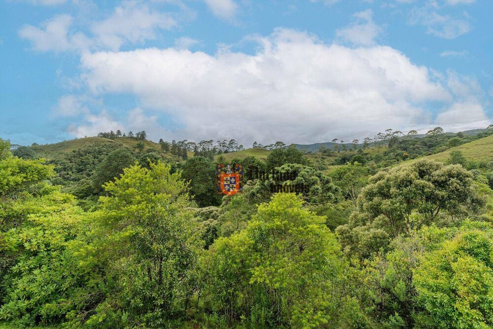 Chácara, 4 quartos, 5850 m² - Foto 4