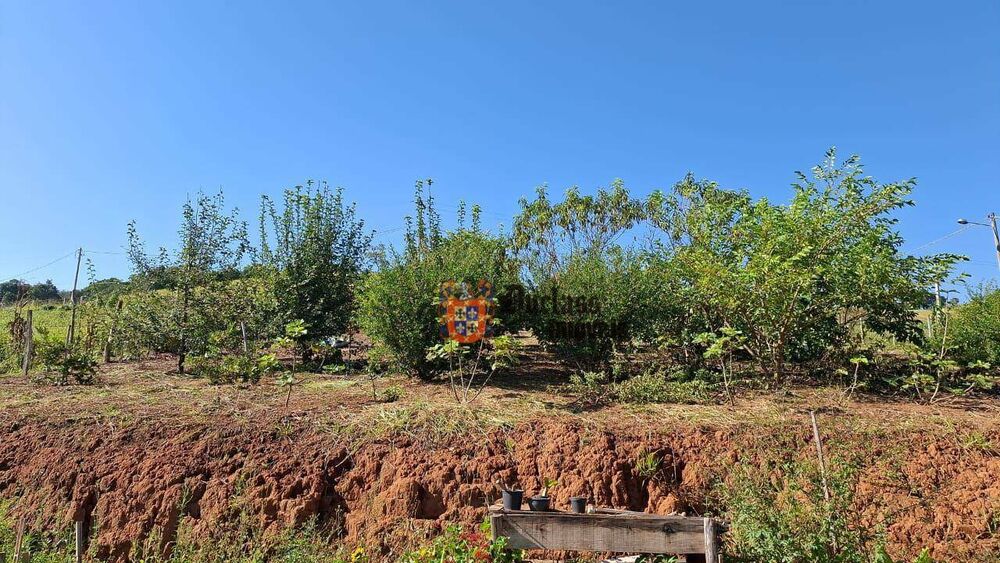 Chácara à venda com 2 quartos, 5938M2 - Foto 4