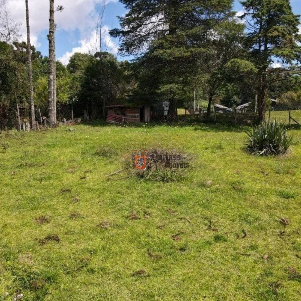 Terreno, 1330 m² - Foto 1
