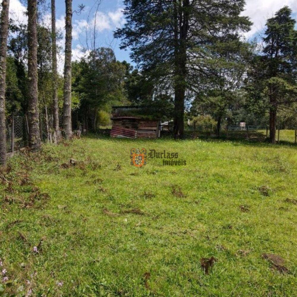 Terreno, 1330 m² - Foto 4