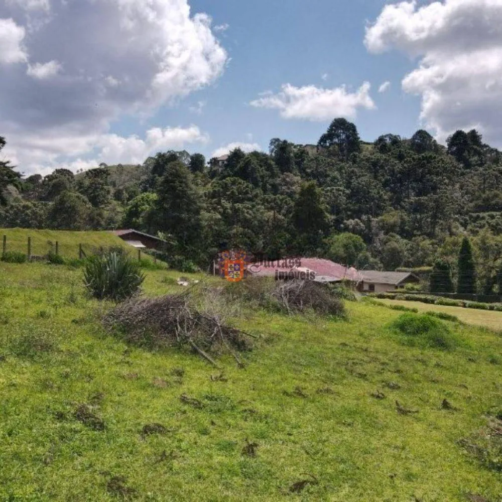 Terreno, 1330 m² - Foto 7