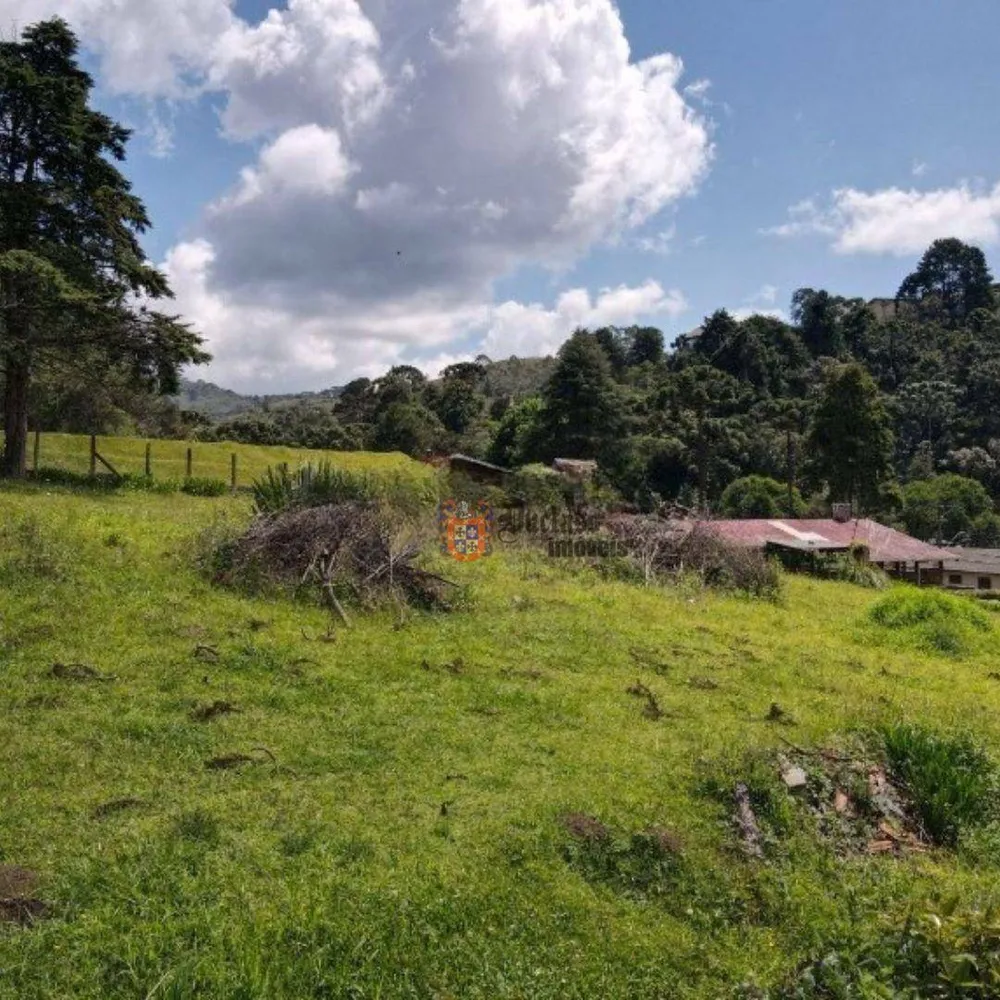Terreno, 1330 m² - Foto 8