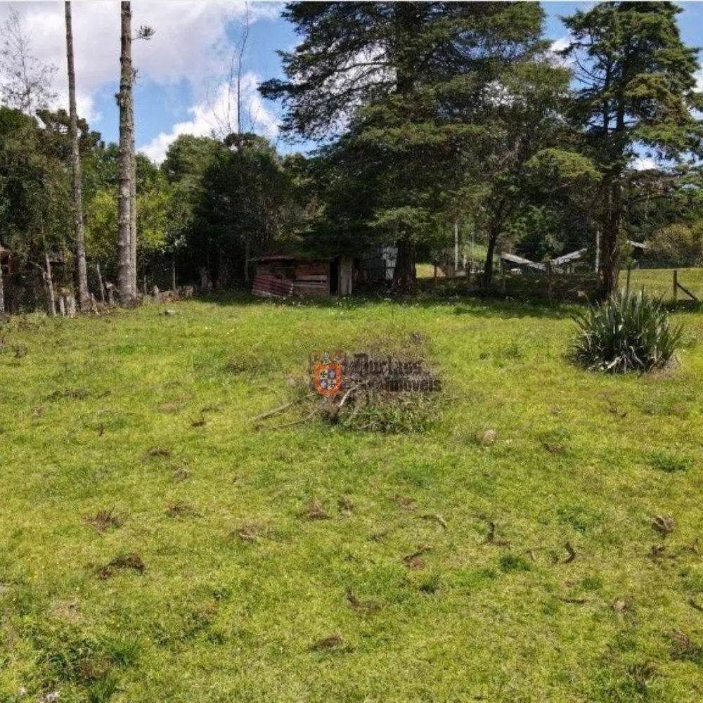 Terreno, 1330 m² - Foto 6