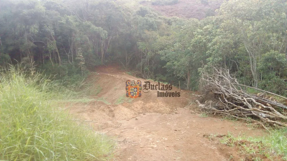 Sítio, 19 quartos, 9 hectares - Foto 8
