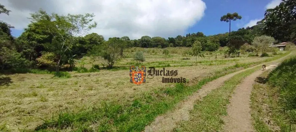 Sítio, 2 quartos, 2 hectares - Foto 6