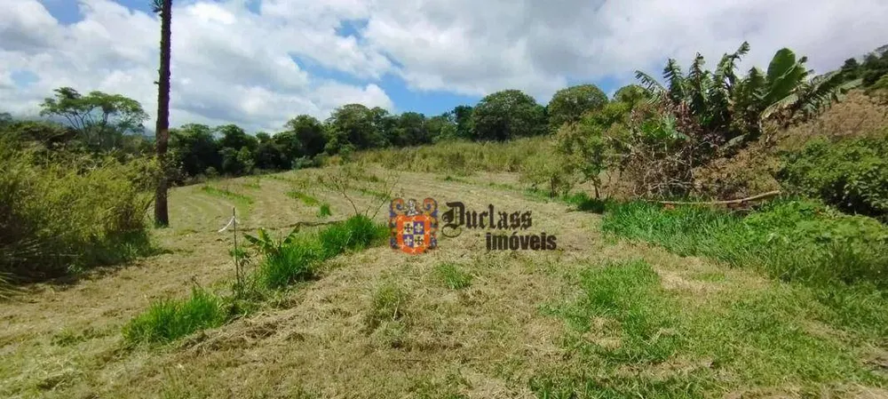 Sítio, 2 quartos, 2 hectares - Foto 4