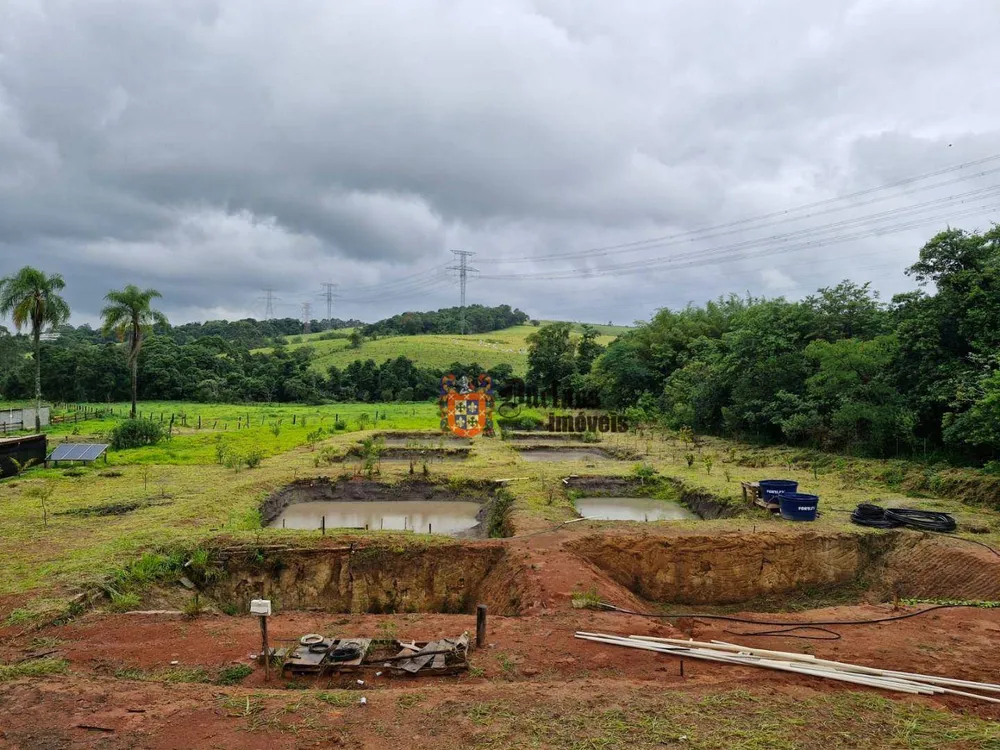 Sítio, 2 quartos, 7 hectares - Foto 4
