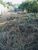 Terreno, 769 m² - Foto 5