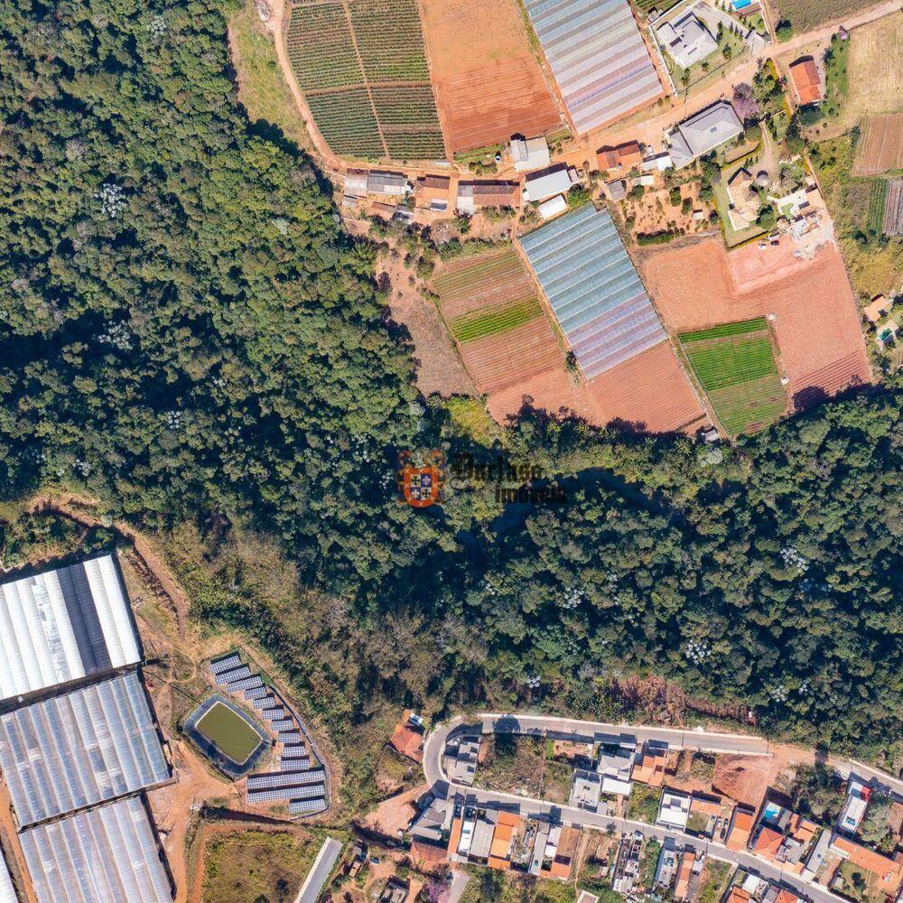 Terreno, 8 hectares - Foto 2