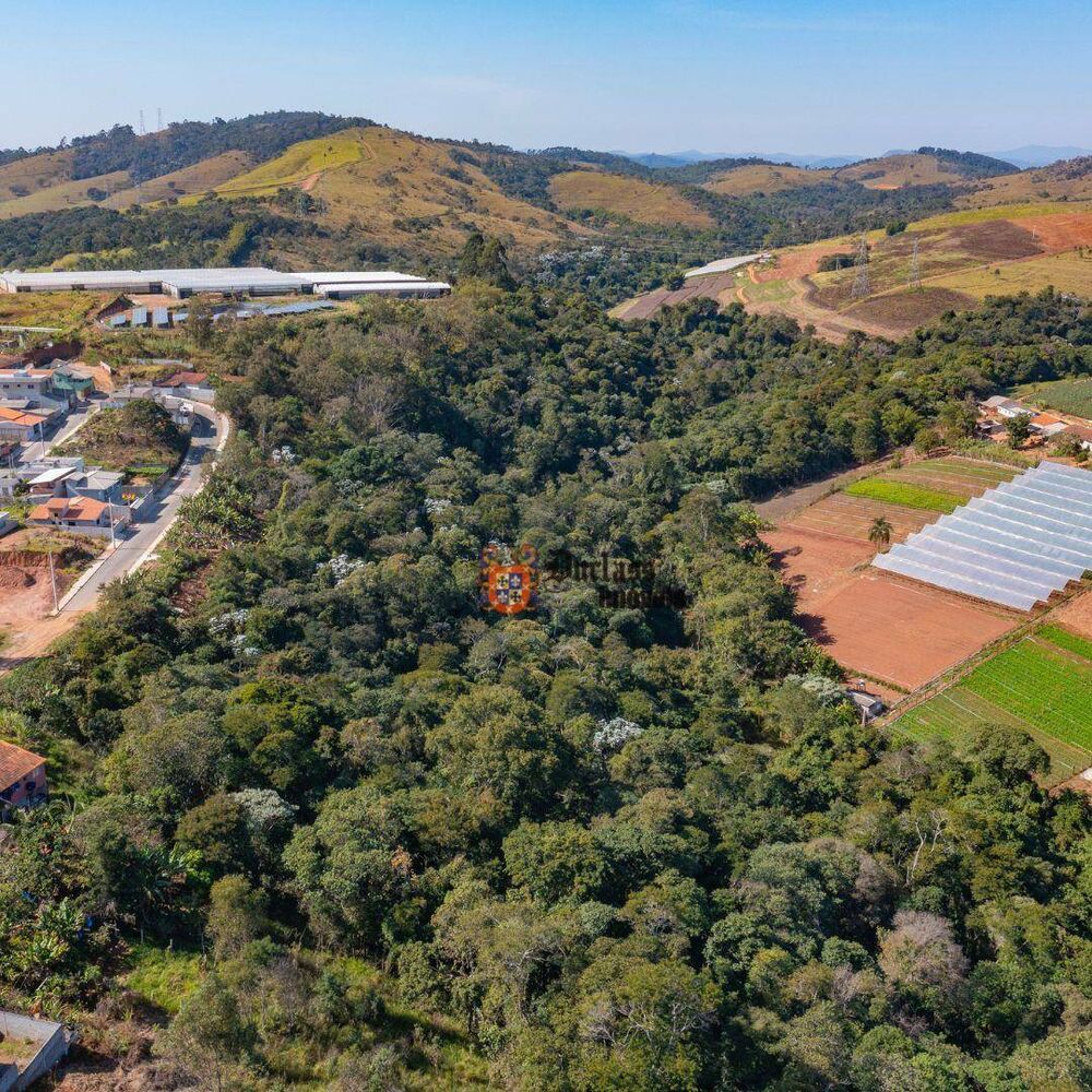 Terreno, 8 hectares - Foto 8