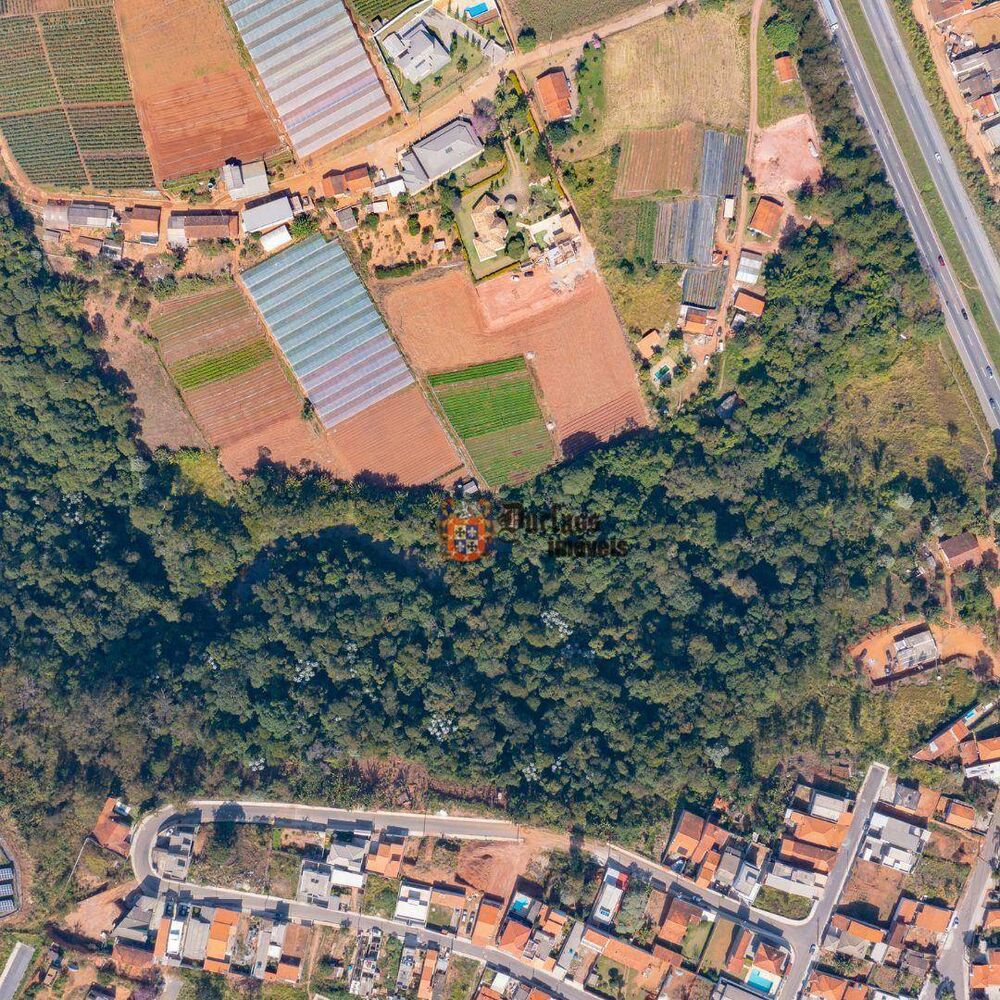 Terreno, 8 hectares - Foto 3