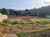 Terreno, 1050 m² - Foto 2