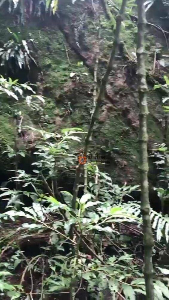 Fazenda, 69 hectares - Foto 2