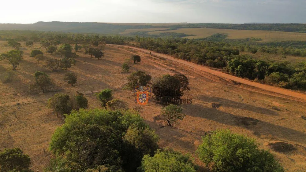 Fazenda, 3125 hectares - Foto 3