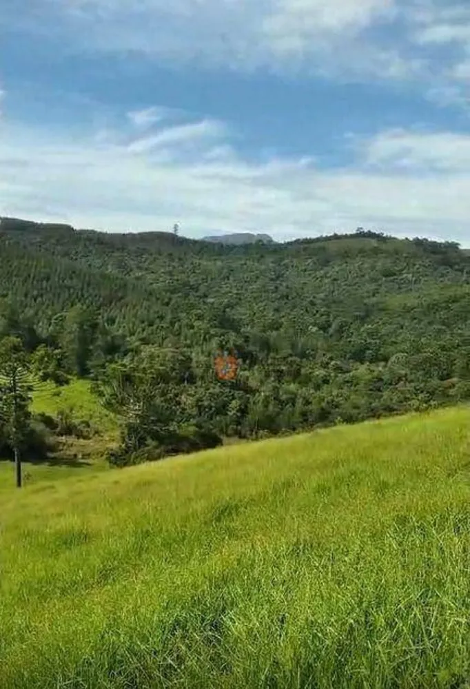 Terreno, 5 hectares - Foto 2