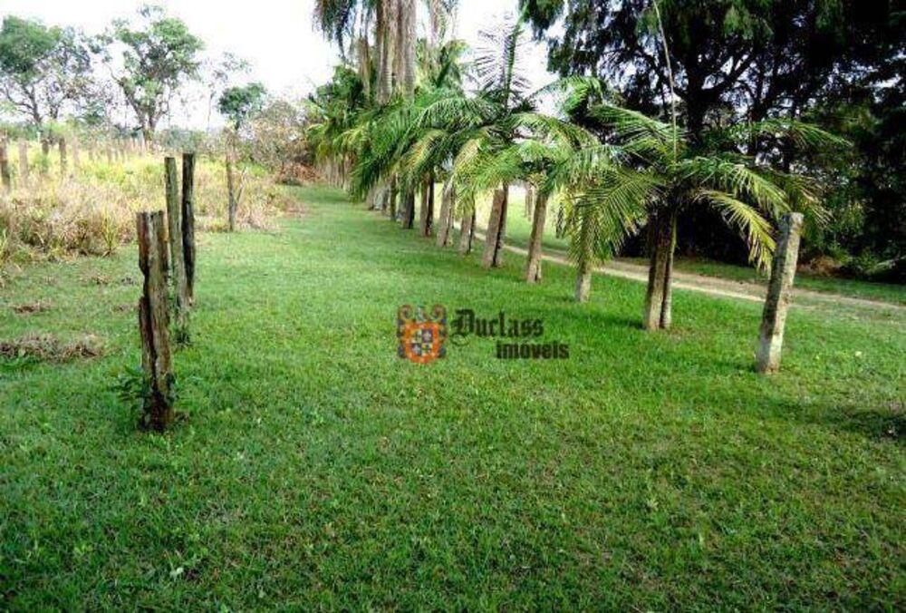 Terreno, 8 hectares - Foto 4